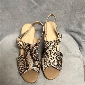Cole Haan Snakeskin Sandals - Brown and Cream